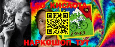 крисы Шебекино
