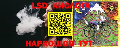 крисы Шебекино
