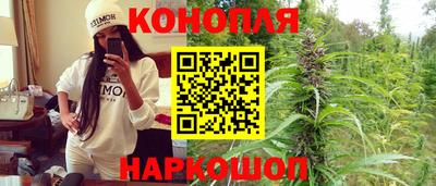 крисы Шебекино