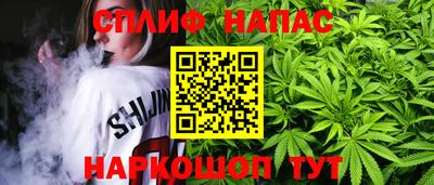 крисы Шебекино