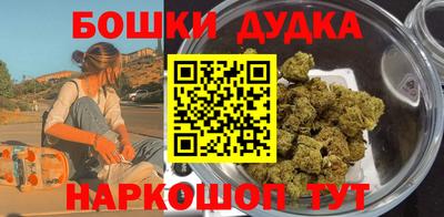 крисы Шебекино