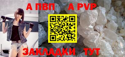 крисы Шебекино
