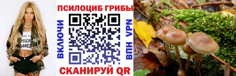 наркота Владикавказ Галлюциногенные грибы мицелий