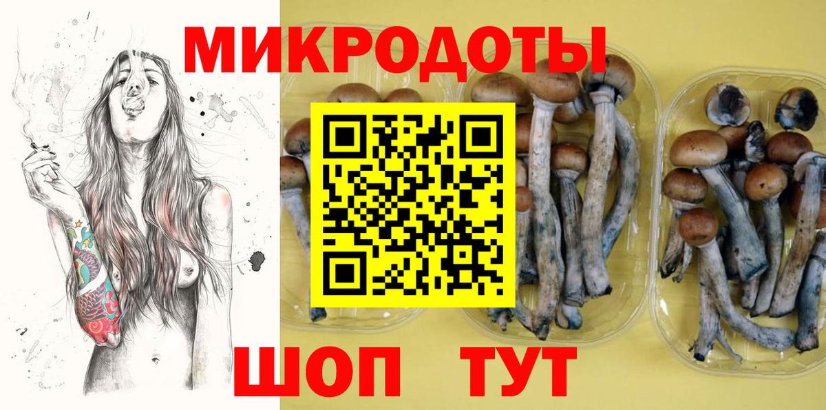 Владикавказ  Псилоцибиновые грибы прущие грибы  Вход с VPN 
