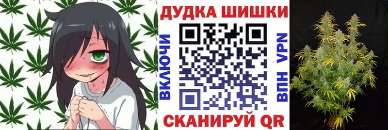 Марихуана план  гидра   Владикавказ 